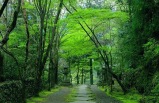 Tokyo & Kyoto